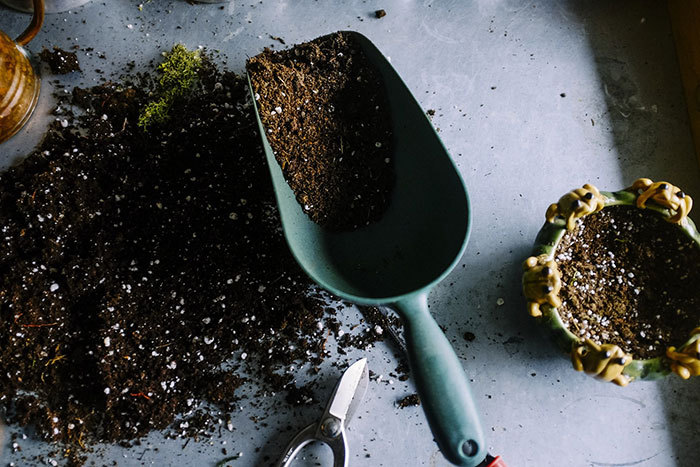 green thumbs