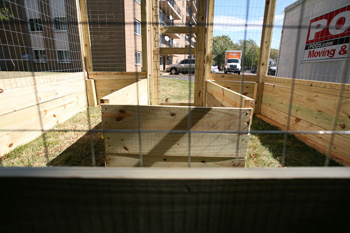 windows
