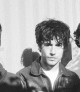 Wallows
